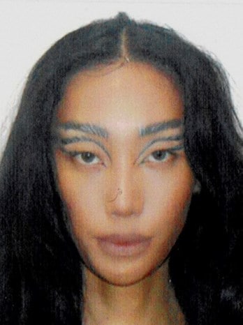 America in transition 6