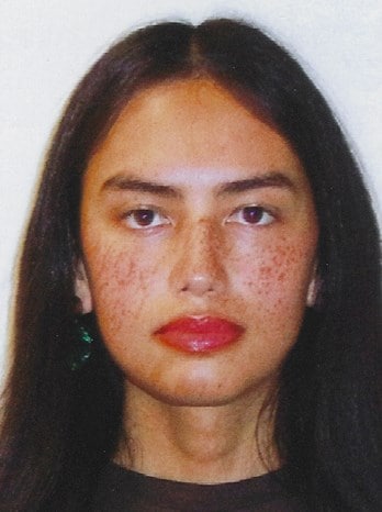 America in transition 15