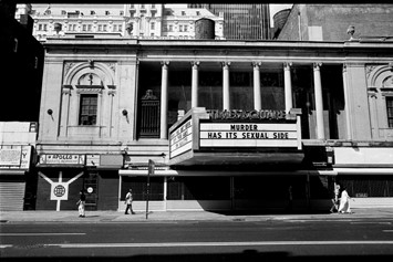 Helmut Lang & Jenny Holzer  Jenny holzer, Words, How to show love