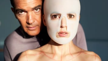 Dissecting the creative genius of Pedro Almodóvar | Dazed