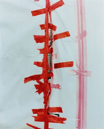 Why Harley Weir is liberating herself from her previous work
