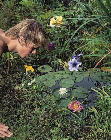 These photographs depict the intoxicating sensuality of the garden