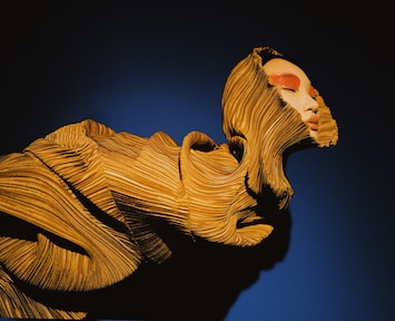 Photographer Zhong Lin is creating a new image every day for one