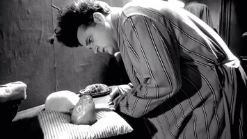 Eraserhead: What you didn't know about David Lynch's first feature film |  Dazed