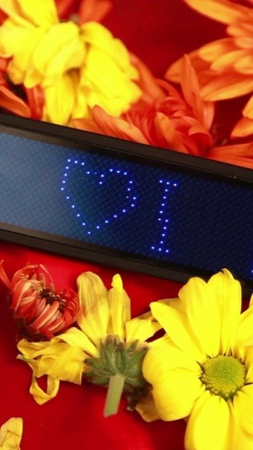 The Sacred Screen 3