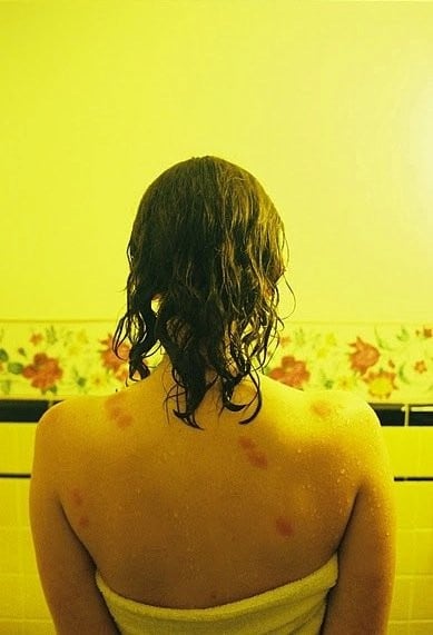 260367_10150205365570286_8328656_n 3