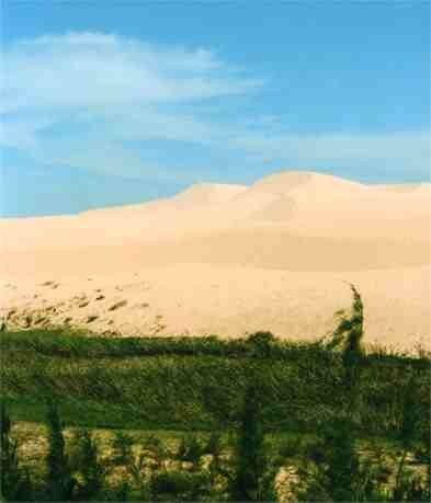 Sand Dune, Mirai Tomono 20