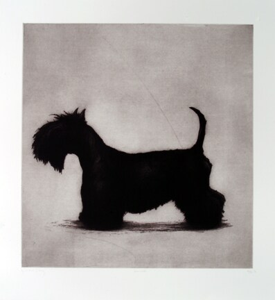 Hamish by Helen Fay 0