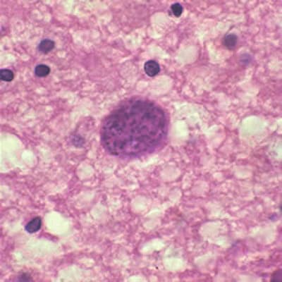 Image 9
