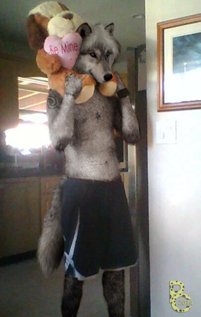 Lupine Valentine by pythos_cheetah 6