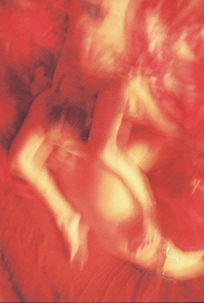 Coyote Park, “Crimson and Clover” (2021) 8