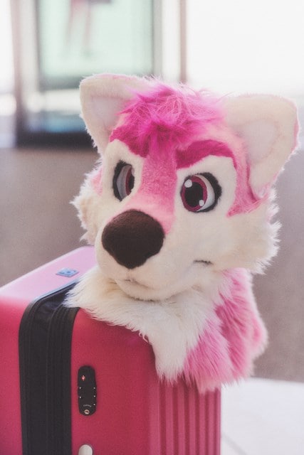 FURRY CONVENTION _ LAURA SCHAEFFER07 (1) 4