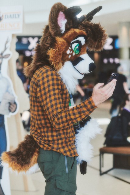 FURRY CONVENTION _ LAURA SCHAEFFER30 19