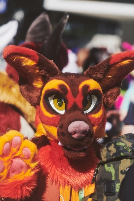 FURRY CONVENTION _ LAURA SCHAEFFER51 22