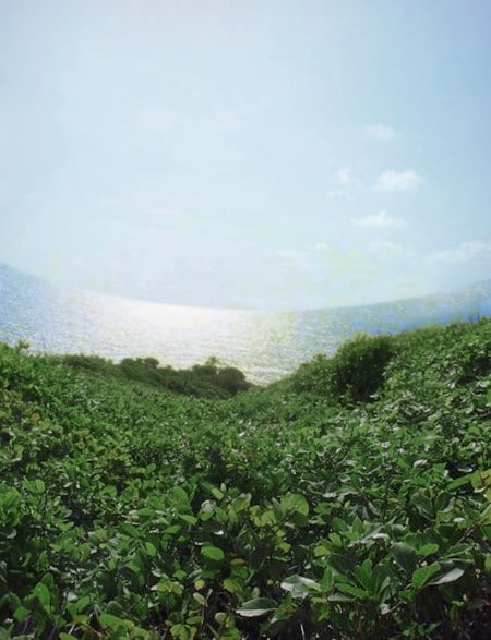 The Book of the Holy Face Series 3