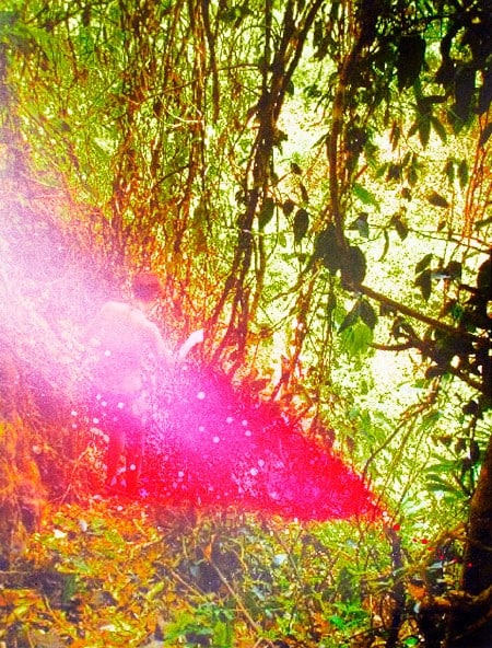 The Book of the Holy Face 5