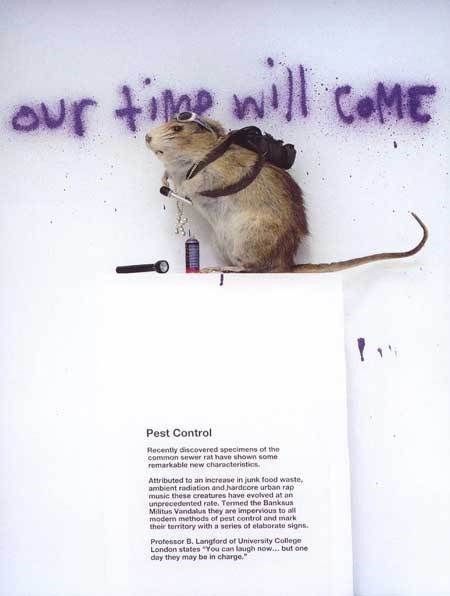 Banksy&#39;s rat