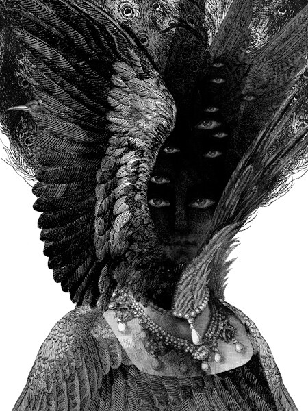 Dan Hillier 4