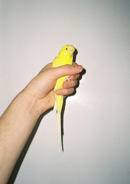 tumblr_n68zht0AgC1qf3r76o1_500 1