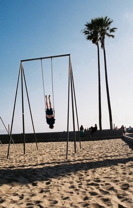 264858_10150226466630286_7055159_n 7