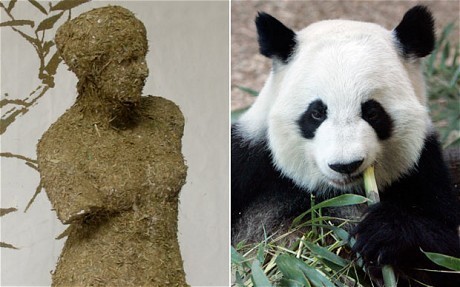 panda-dung_1776154c