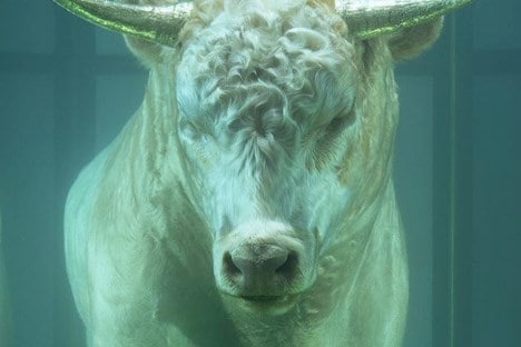 What we've learned since Damien Hirst took control of his own
