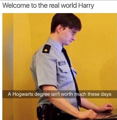 What Do You Meme? 13