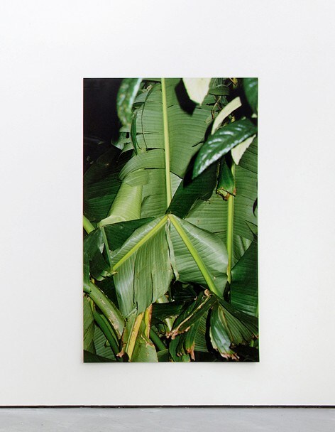 Grass Warm Trifecta &#39;Untitled&#39; 2012 (1) 0