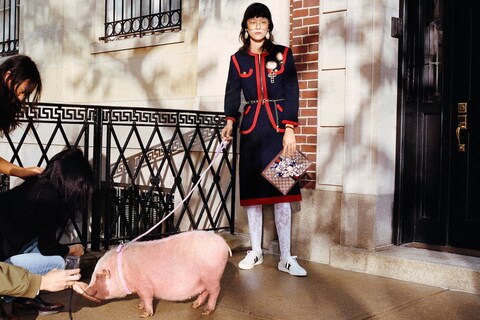 Look at all these cute pigs in Gucci's new campaign | Dazed