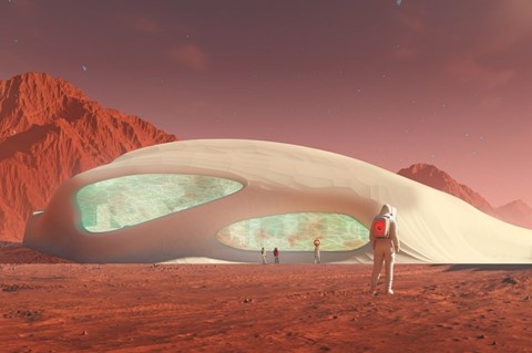 Mycelium architecture concept on Mars