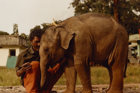 A study of human and animal habitats