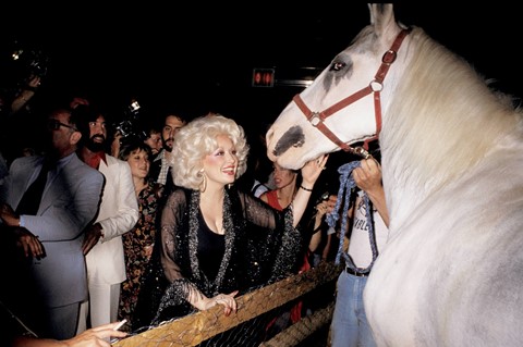 Dolly Parton with a horse during an after party at Studio 54