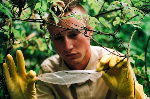 Cruising Archaeology II: Eurotrash