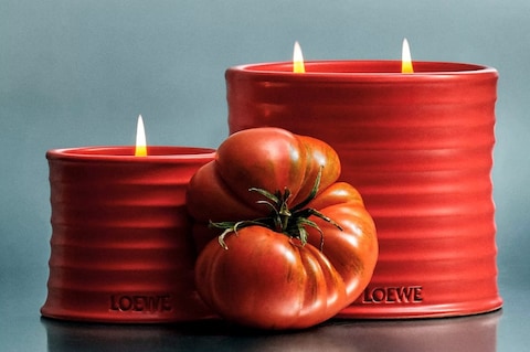 Loewe tomato leaves candle