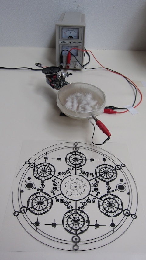 julian-Abraham-bacteria-sonification 8