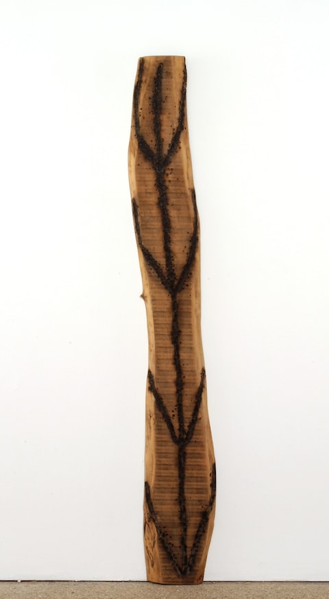 GL 2492 - untitled wood slab 19