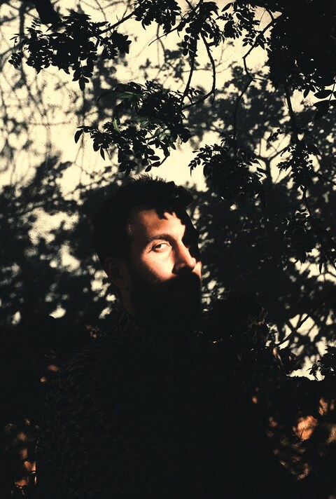 Austin Lynch