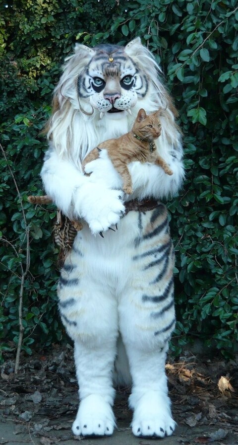 B.C and Junebug by LilleahWest 10