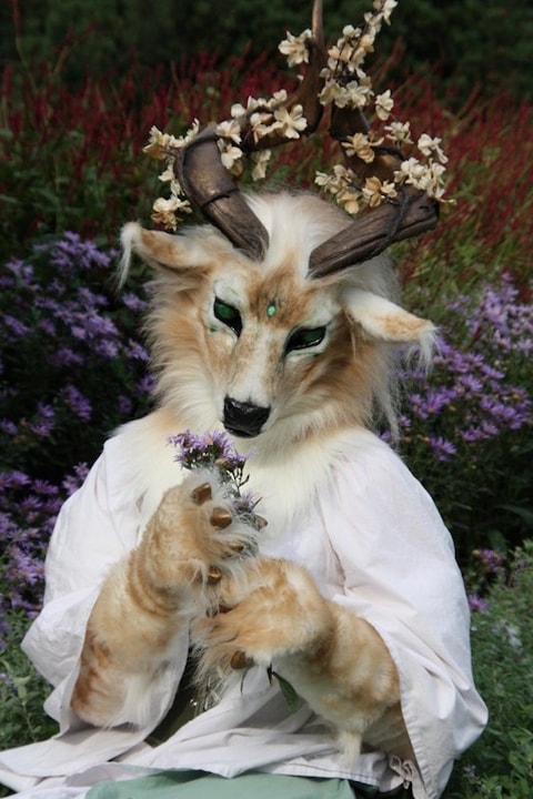 jashis &quot;He loves me, he loves me not...&quot;