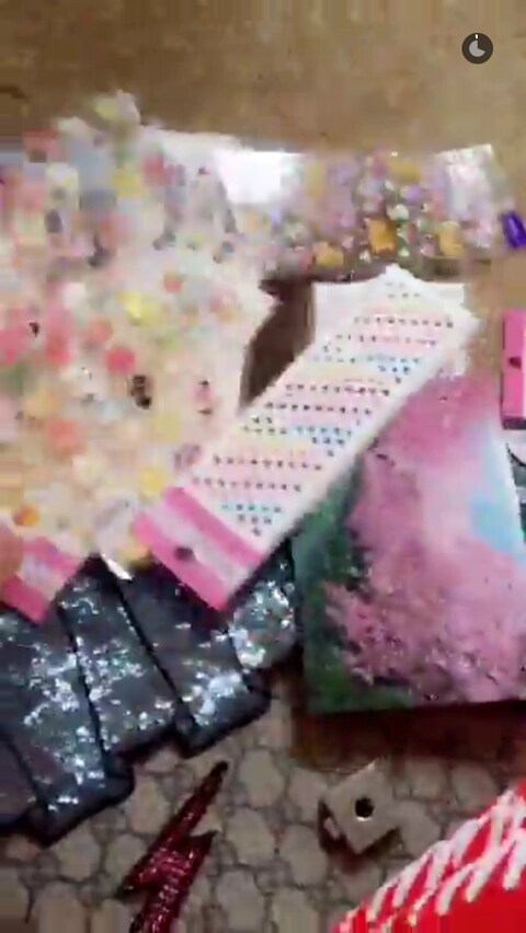 Petra Collins Gucci Snapchat 5