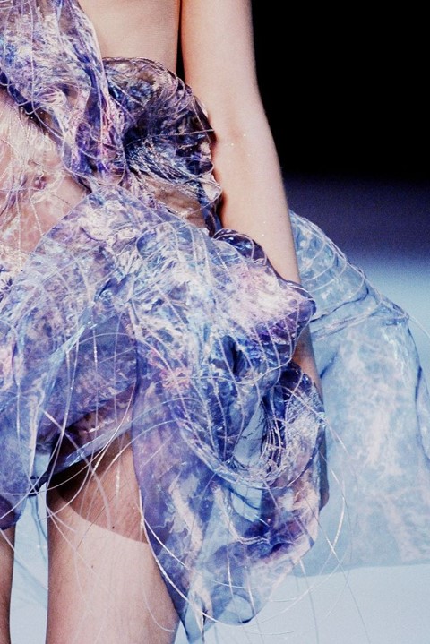 Close up detail of Alexander McQueen SS10 collection