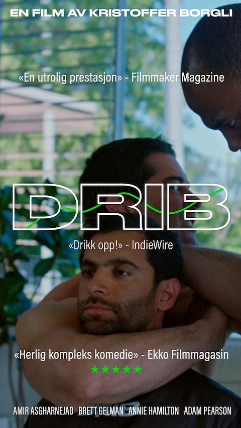 DRIB 29