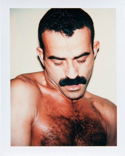 Sex Parts and Torsos (1977) - Andy Warhol 