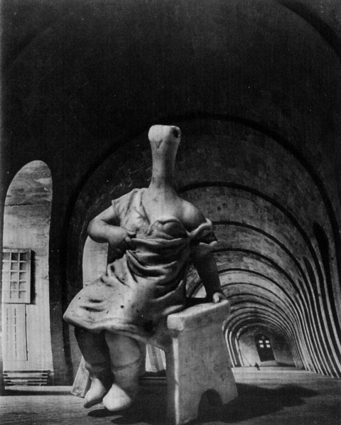 DORA MAAR
