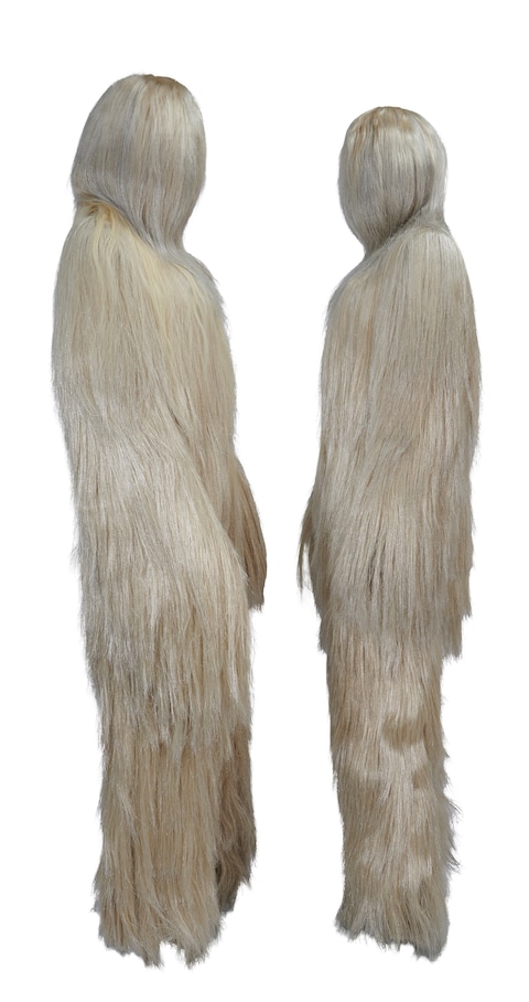 Lion&#39;s Mane Charlie Le mindu 18