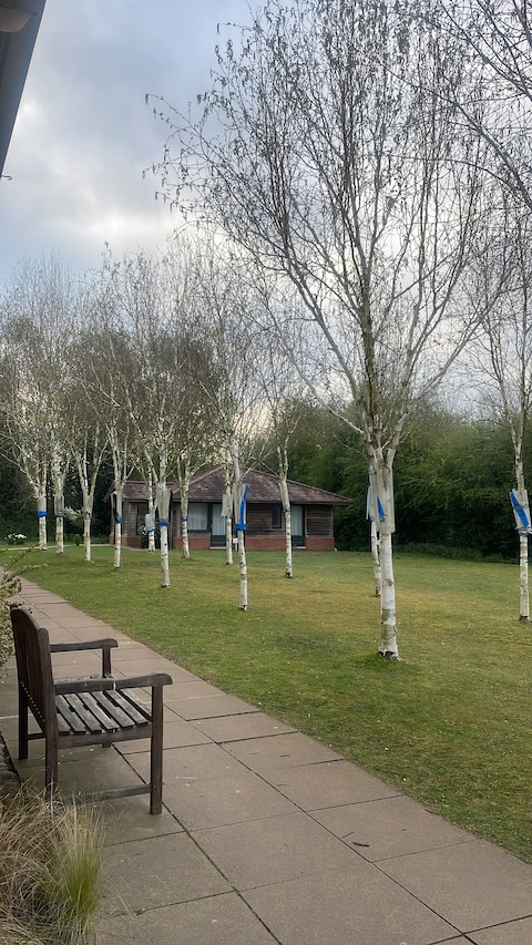 Silent meditation retreat 8