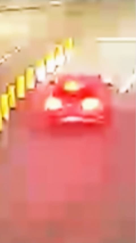 Linn Phyllis Seeger, true idle (2026) 4