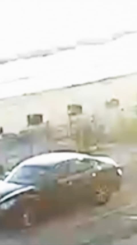 Linn Phyllis Seeger, true idle (2026) 5