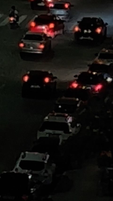 Linn Phyllis Seeger, true idle (2026) 0