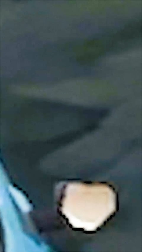 Linn Phyllis Seeger, true idle (2026) 8